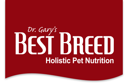 Best Breed Cat Food Reviews